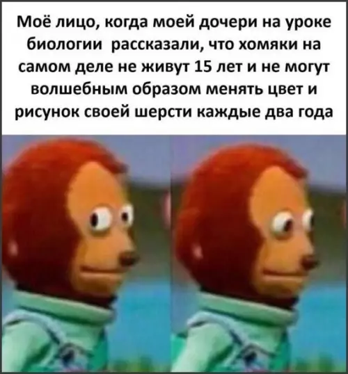 Картиночки, баянчики 17 февраля