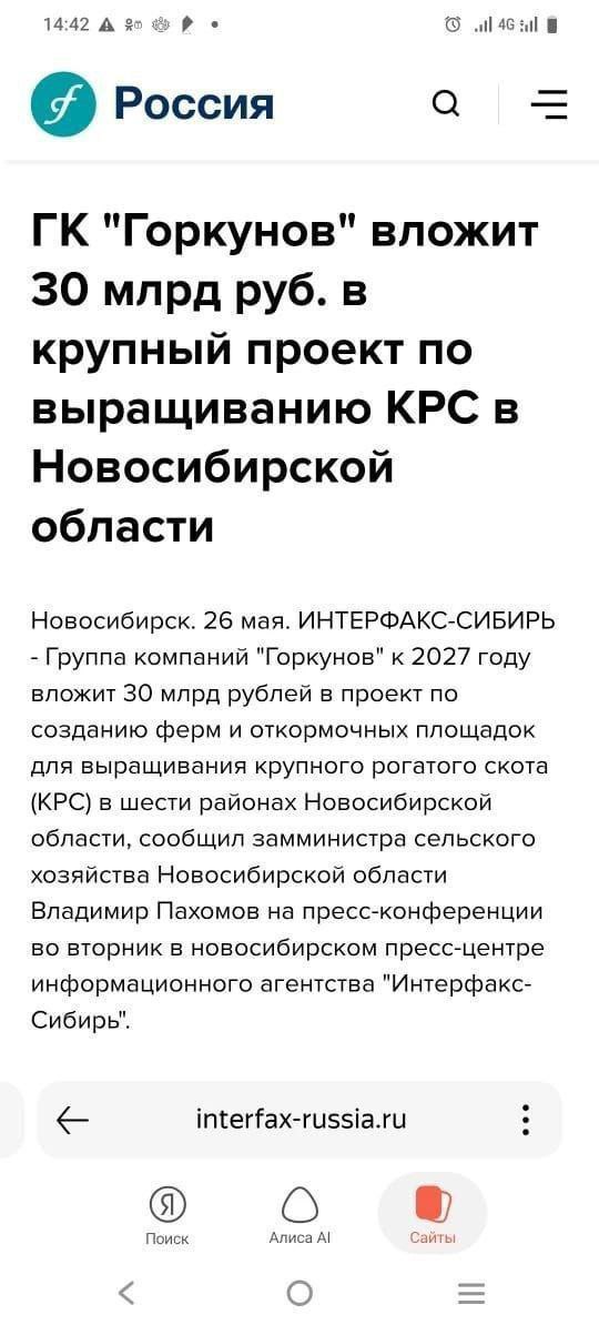 Появилось видео из Новоключей Купинского района Новосибирской области, где уничтожали скот