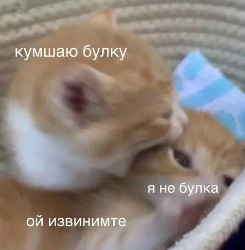 Картиночки, баянчики 26 марта