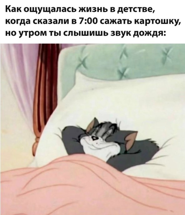 Веселые картинки в маленькую пятницу (27.05)
