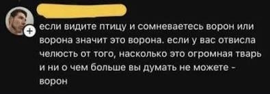 Братан, пошли чего покажем