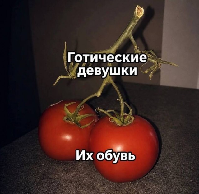 Картинки для деградации 258 ( разной степени свежести)