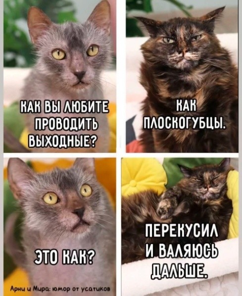 Картинки для деградации 284 (разной степени свежести)