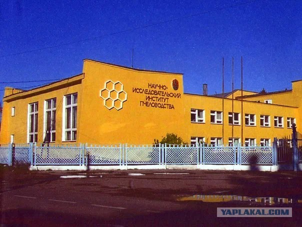 История одного знакомства в интернете