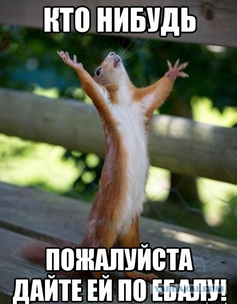 Бой баба.