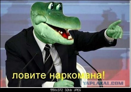Жириновский: про Барака