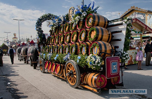 Я не нюхал кокс )