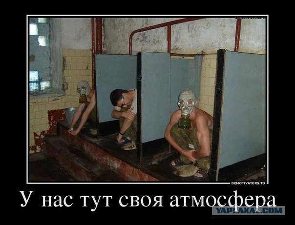 Паразиты в Киеве называют себя российской "элитой"