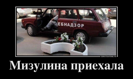 Мизулина назвала iPhone орудием педофила