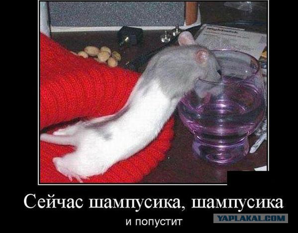 Смешные картинки