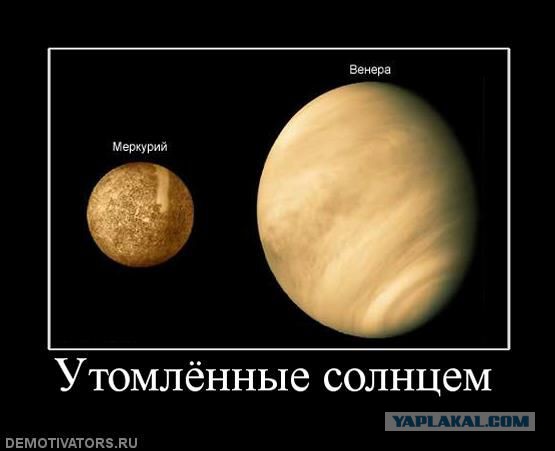 Cмешные баяны