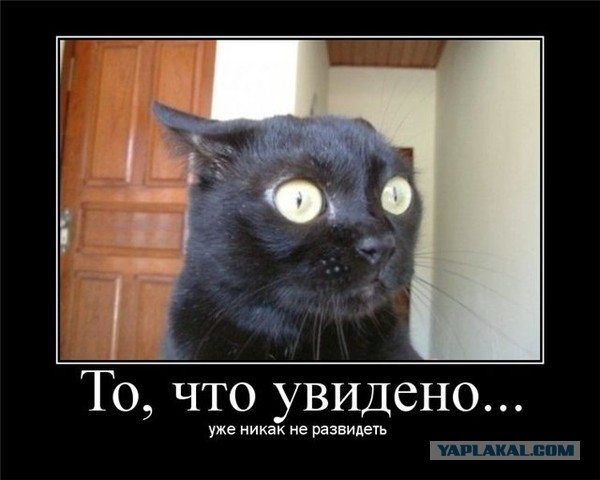 Свадебные пляски