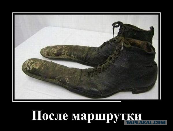 Картинки из этих ваших интернетов