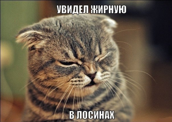 Детка, это фитнес!