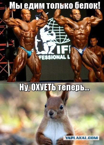 Веселости попавшиеся на сегодня