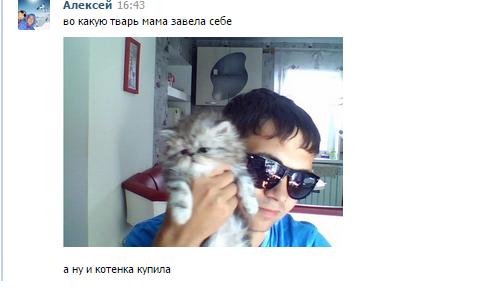 Смешные комментарии из социальных сетей