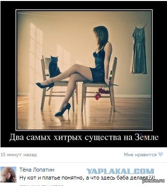 Смешные комментарии из социальных сетей