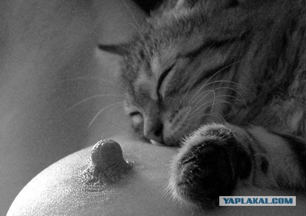 Очень ЯПовское фото