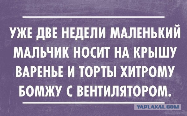 Мешанина прикольных картинок из сети
