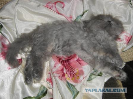 Вернулся под утро – 3