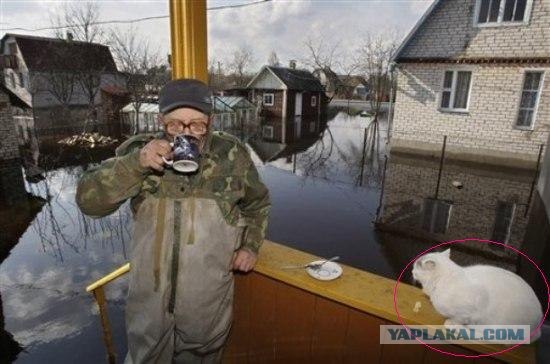 Беларусь топит. Днепр поднялся на 5 метров