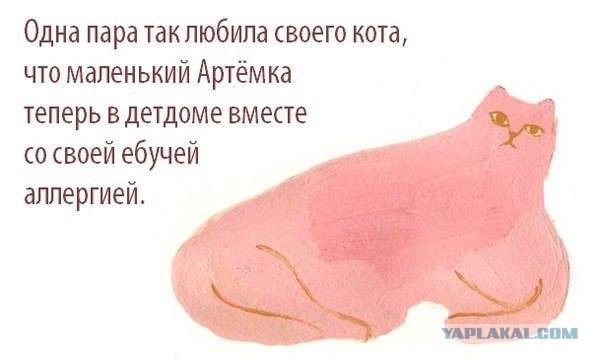Прикольные фото и картинки