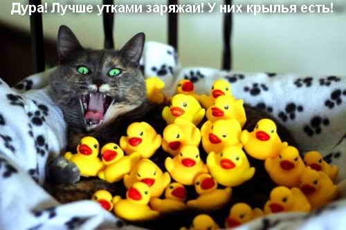 Настоящая ЯПовчанка