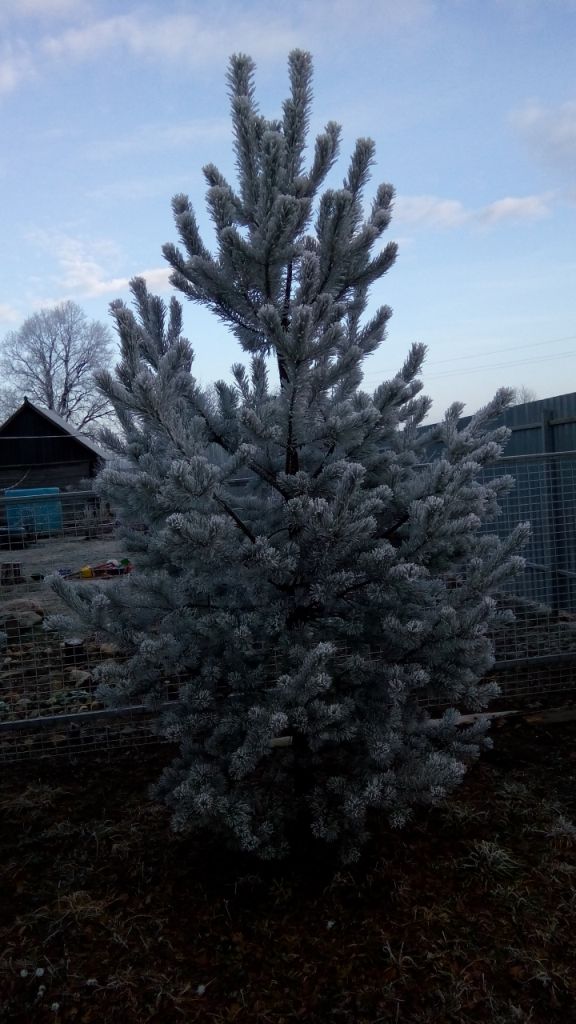 Продам участок