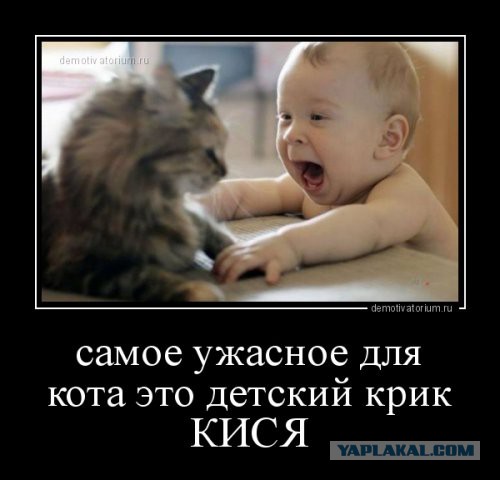 То, что улыбнуло в 2015