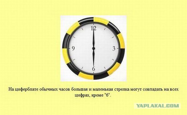 28 занимательных фактов о разном