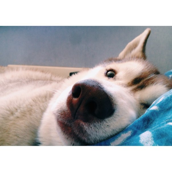 Интересные и веселые картинки