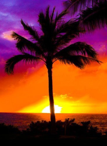 Интересные и веселые картинки