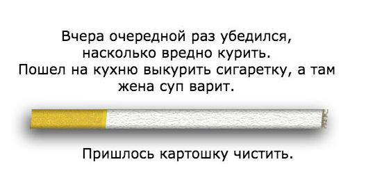 Картинки и приколы из сети, для поднятия настроения=)