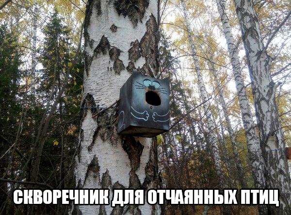 Картинки всякие