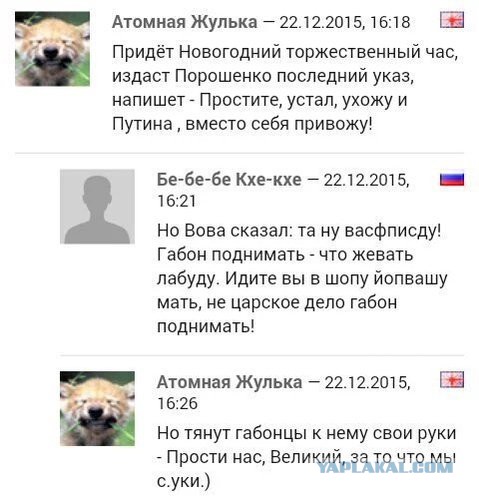 Смешные комментарии из социальных сетей 25.11.2016