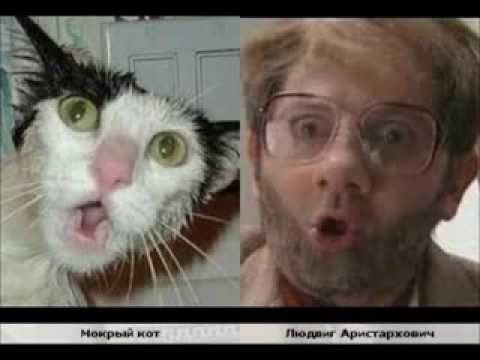 Один в один! 17 людей, животных и вещей, которые невероятно похожи друг на друга.
