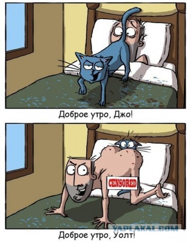 Все друг друга поняли (Смехопанорама)