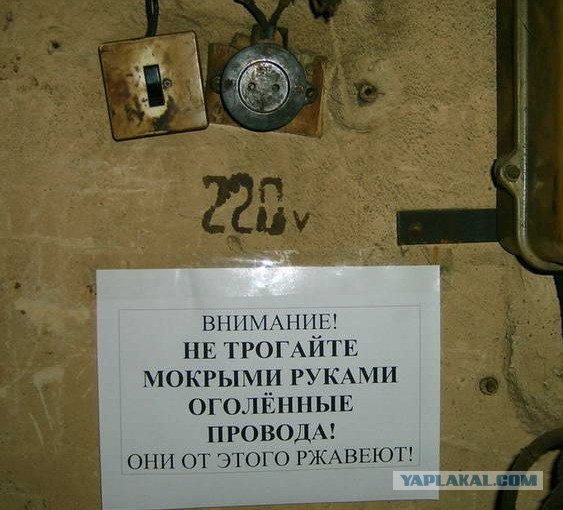 Пятничная деградация! Ура, товарищи!