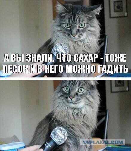 Милота