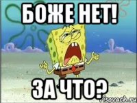 Друзья! я решил создать новый проект: Пашкет рекомендует!
