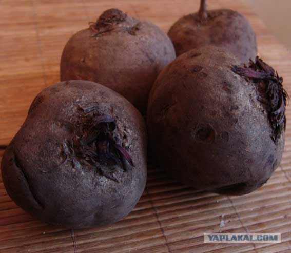 Европейский автокризис