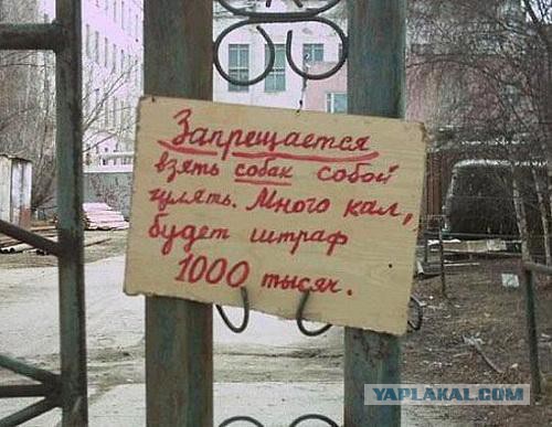 Подборка прикольной рекламы и объявлений