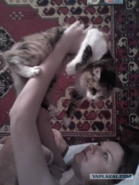 Котовторник (15.05.2012)