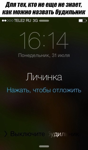 Здорово и вечно