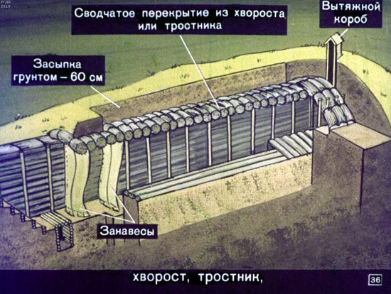 Выживание в условиях ядерной войны. Диафильм для 5 класса