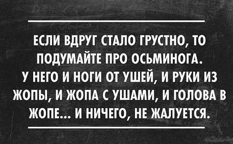 Ура! Мне подключили интенет! (БАЯНЫ)