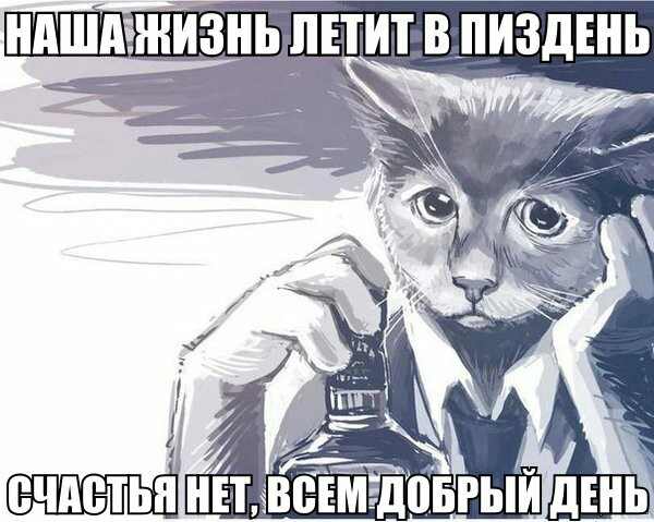Немного картинок и демотиваторов со старого винта - 3