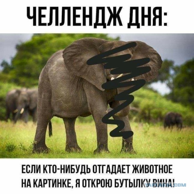 Так себе картинки #14
