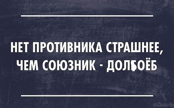 Фотки и картинки: юморные и красивые, забавные и милые