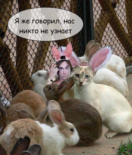 Битва Фотожаберов №8.Жанна Агузарова.Реинкарнация